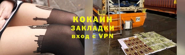 ПСИЛОЦИБИНОВЫЕ ГРИБЫ Инта