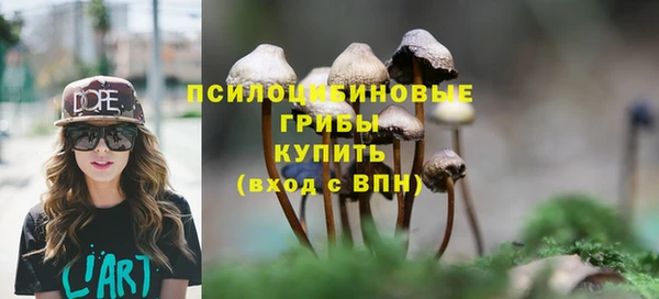 MDMA Инсар