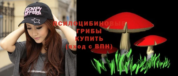 ПСИЛОЦИБИНОВЫЕ ГРИБЫ Инта