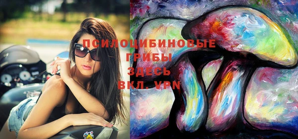 ПСИЛОЦИБИНОВЫЕ ГРИБЫ Инта