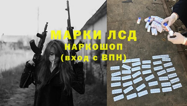 ПСИЛОЦИБИНОВЫЕ ГРИБЫ Инта