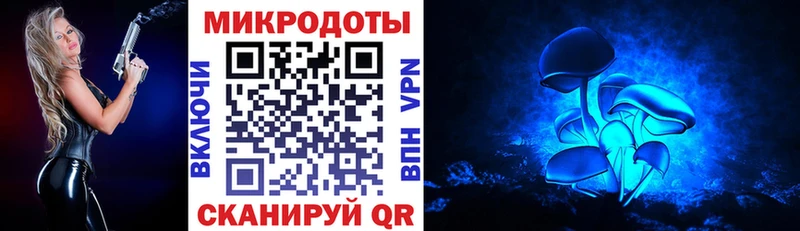 Купить где  Дрезна  Галлюциногенные грибы прущие грибы 